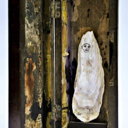 La Muse de l'écriture - Installation huître dans boîte - Nadine Simon 