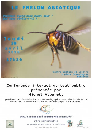 Affiche Le frelon asiatique, pourquoi avons-nous aussi peur ? Que nous révèle t-il ?