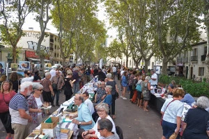 Affiche Salon des livres et des arts de Figuerolles