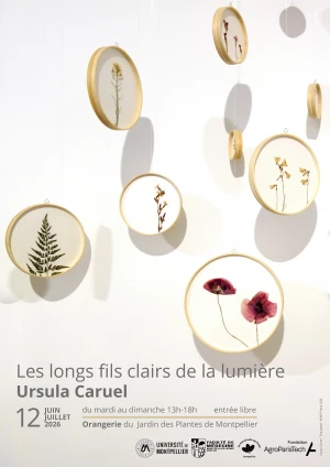 Affiche Exposition Les longs fils clairs de la lumière - Ursula Caruel - Les Amis du Jardin des Plantes