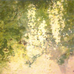 Glycine de RobinFP - acrylique sur carton toilé