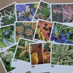 Agenda 2025 - Agenda : 12 photographies originales sur papier dessin