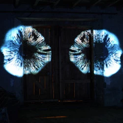 Les Yeux de la forêt - Empreintes de champignons. Projection