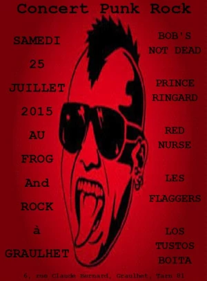 Affiche Concert Punk Rock