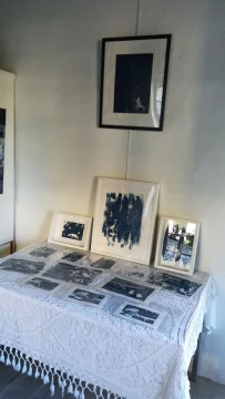 Mes cyanotypes - <p>univers poétiques de mes cyanotypes</p> - Michele Stachak-Soulacroix
