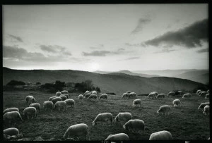 Affiche Rencontres Photographiques du Paysage