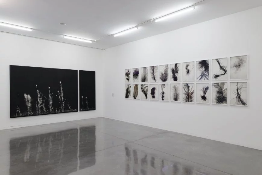 "La Pergola", vue de l'exposition, 2017. Photographie Aurélien Mole