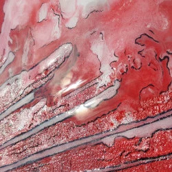 Entre Terre et Mer - technique mixte sur panneau bois 120cm x 60cm - Geordie LHERIAU 