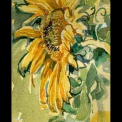 Tournesol - Aquarelle