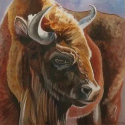 Comme un roc, portrait de bison - Bison d'Europe, huile sur toile 80 x 80 cm - photo personnelle 