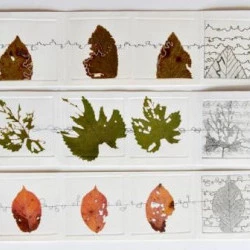 Ecritures sauvages - Gravure et collage