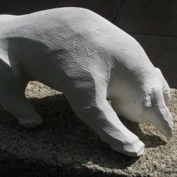Taureau - Taille directe sur calcaire dur 38x20x20 - sculptures JN Le Junter 