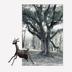 Projet Artistique (Parc de Sculptures + Arts Textiles ouvert au Public) - à la recherche du mécénat (d'entreprises) pour réaliser un Parc de Sculptures ouvert au public. - David Vanorbeek sculpteur 