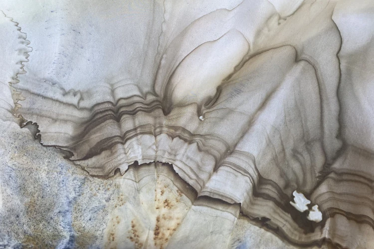 Sylvia Eustache Rools