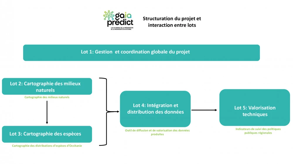 Schéma structuration du projet par lot