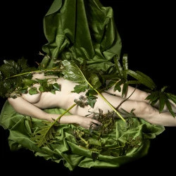 La flaque verte - Photographie / Tirage sur papier Hahnemühle satiné exemplaire 1/8 - Natacha Nikouline 