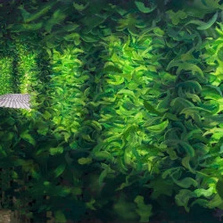 La grande traversée - Huile sur toile | 89 x 176 cm (Triptyque) - ©Loïc Bonnefont 