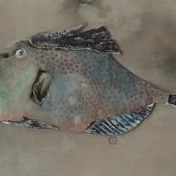 Baliste - Céramique peau poisson peinture