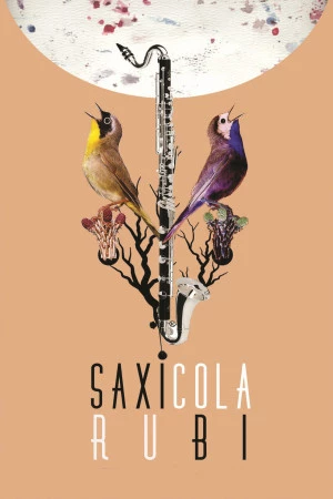 Affiche Duo Saxicola Rubi