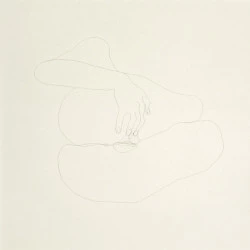 " je nie faire fly" - Cheveux sous verre- 2012 - 48 cm x 48cm -2011 - Claudie Dadu 