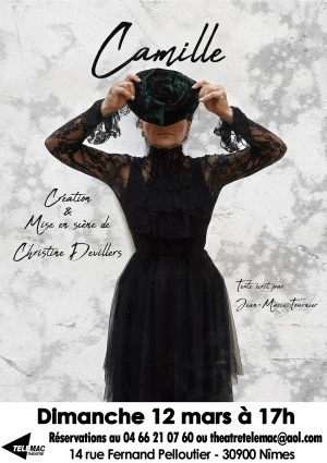 Affiche CAMILLE de Christine DEVILLERS