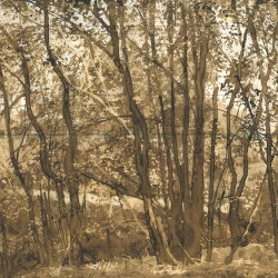 Arbre - Arbre et sous bois- Brou de noix sur registre de compte ancien