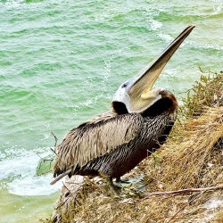 Pismo Beach, California, 2024 - photographie