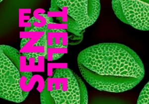 Affiche Exposition Essentielle 