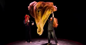 Affiche Des bleuets dans les yeux