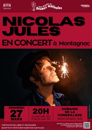 Affiche Concert de Nicolas Jules