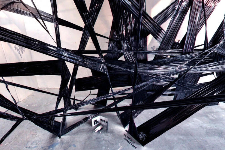 Zéléman - Installation, célophane, bois, acrylique - Boris Sécretin 