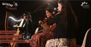 Affiche Week end Irlandais : Trio de musique irlandaise