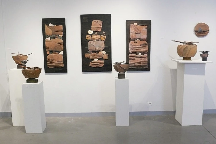 Photo exposition 2025 - Terre et bois