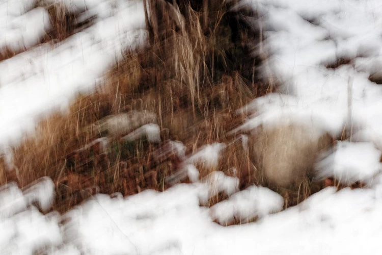 Hiver 2 - Philippe Cadu 