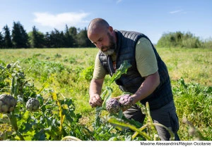 L'Occitanie accompagne ses producteurs engagés dans le bio