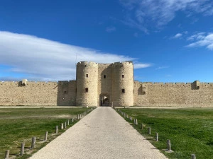 Affiche Tout est faux ! - La visite guidée qui démonte les légendes d'Aigues-Mortes