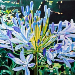 Agapanthas - Huile sur Toile, 33 x 41 cm, 2017, "Agapanthus" - Oeuvre de Kenneth G.Hay 