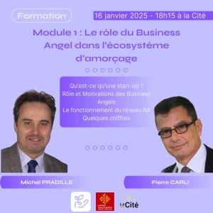Affiche Module de formation 1 : Le rôle du Business Angel dans l'écosystème d'amorçage 