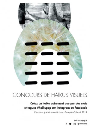 Affiche Concours de haïkus visuels