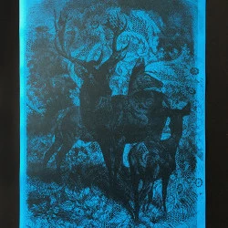 Occitan fa punk - Image issue d'une résidence à La Fabrique (Université Jean Jaurès, Toulouse) à l'occasion du festival Occitan Fa Punk, désireux de mettre en valeur la scène musicale occitane contemporaine. - © Anne Desrivières 