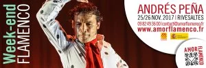 Affiche Flamenco / Stages + Spectacle avec Andrés Peña