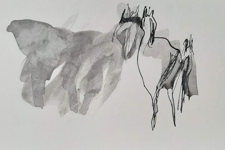 Sans titre - Chevaux pendant le soin énergétique aux Cabanelles - Corine Pagny 