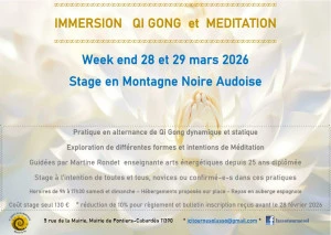 Affiche Immersion Qi Gong et Méditation