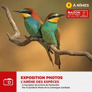 Affiche Exposition "L'Arène des espèces" 