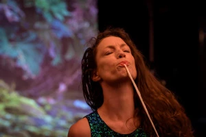 Affiche MIMESIS / ZART CIE / Julie Pichavant