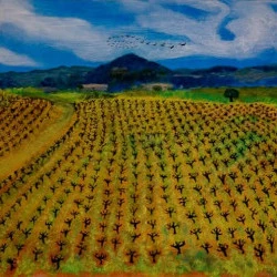 Vue sur les vignes - Huile sur bois - Paysage de la Vallée de la Cèze - © ADAGP, Paris, 2025. Patricia Lackersteen 