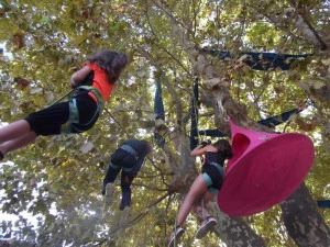 Affiche Découverte Grimpe d'arbres à la source du Lez