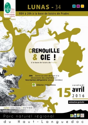 Affiche Grenouilles et Compagnie ! Une animation pédagogique autour des amphibiens et des zones humides