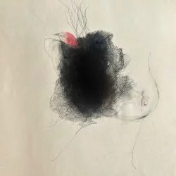 "Piu Piu" - crayon et charbon sur papier, 25 x 20 cm, 2022 - maria clark 