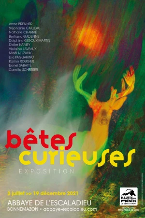 Affiche Exposition Bêtes curieuses